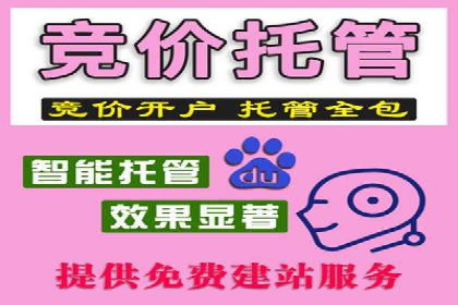 案例分享：SEM推广助力企业实现品牌国际化