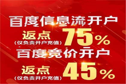 竞价SEM案例分享：行业霸主崛起之路